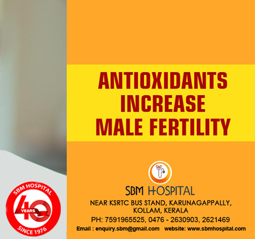 Antioxydants increase male fertility